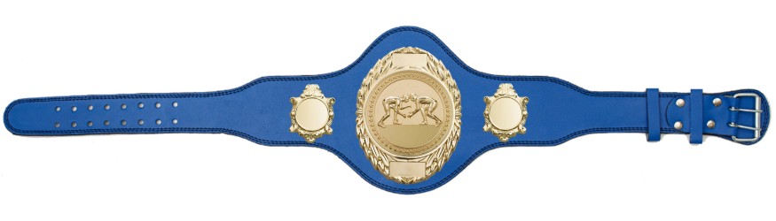 GRAPPLING CHAMPIONSHIP BELT-PLT286/G/GRAPG-4 COLOURS